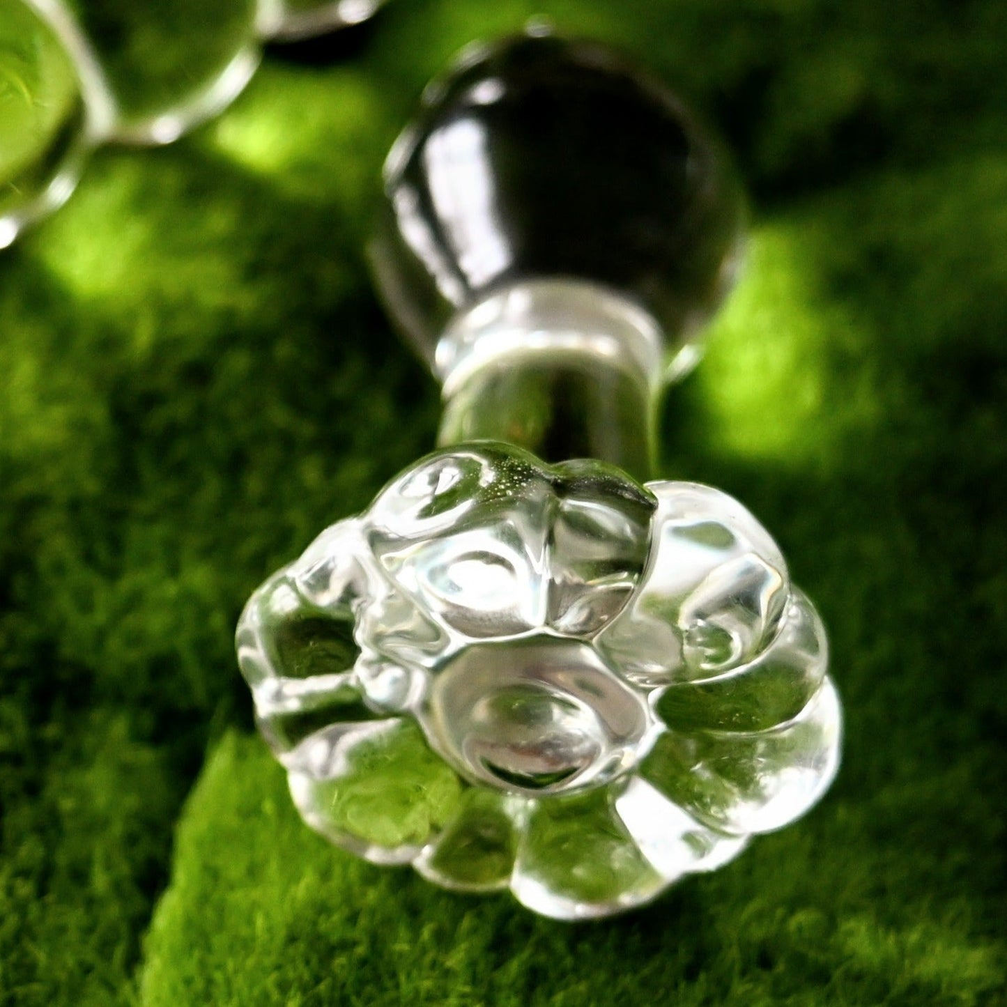 Litsea Flower Glass Plug - OH WHAT BEAUTY